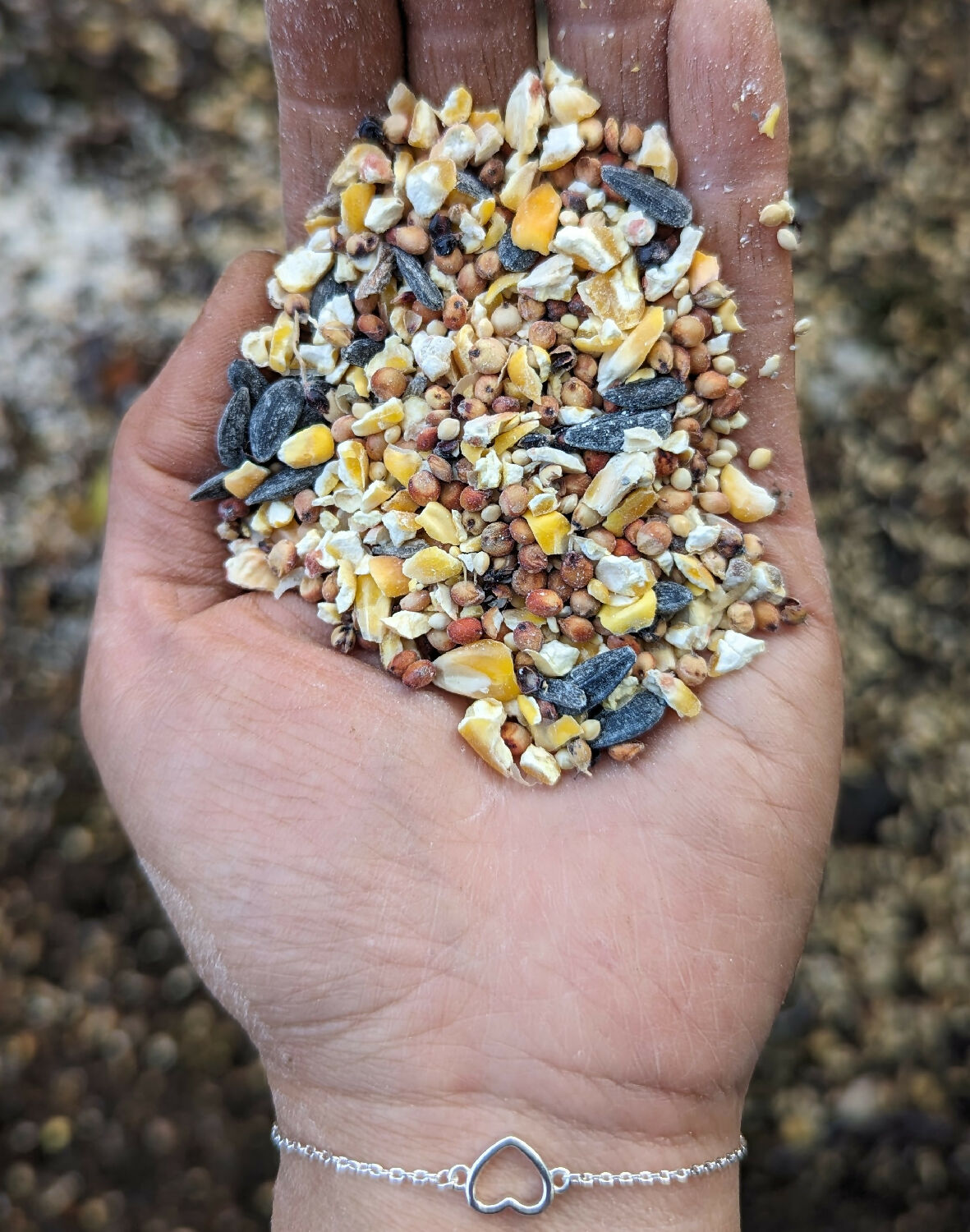 PXL_20230823_161343279