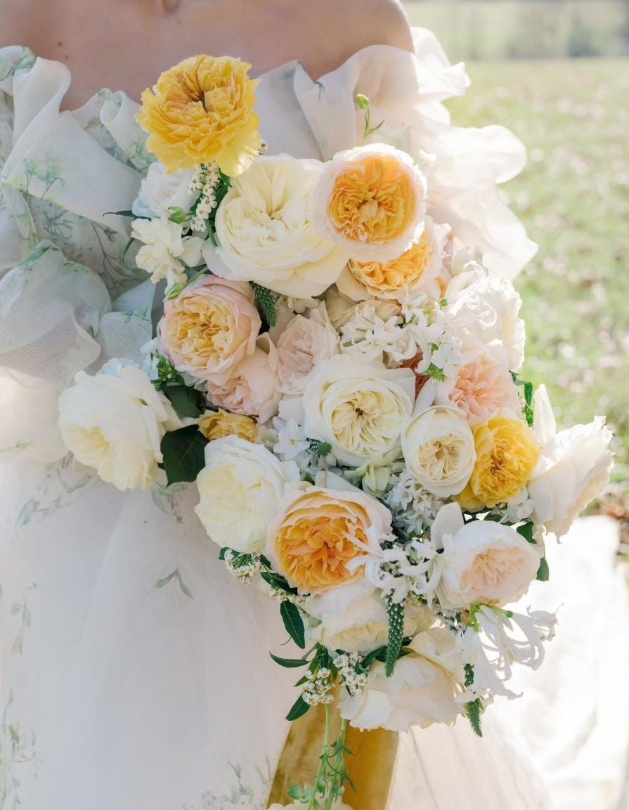 12 roses Beatrice deluxe, unique garden roses