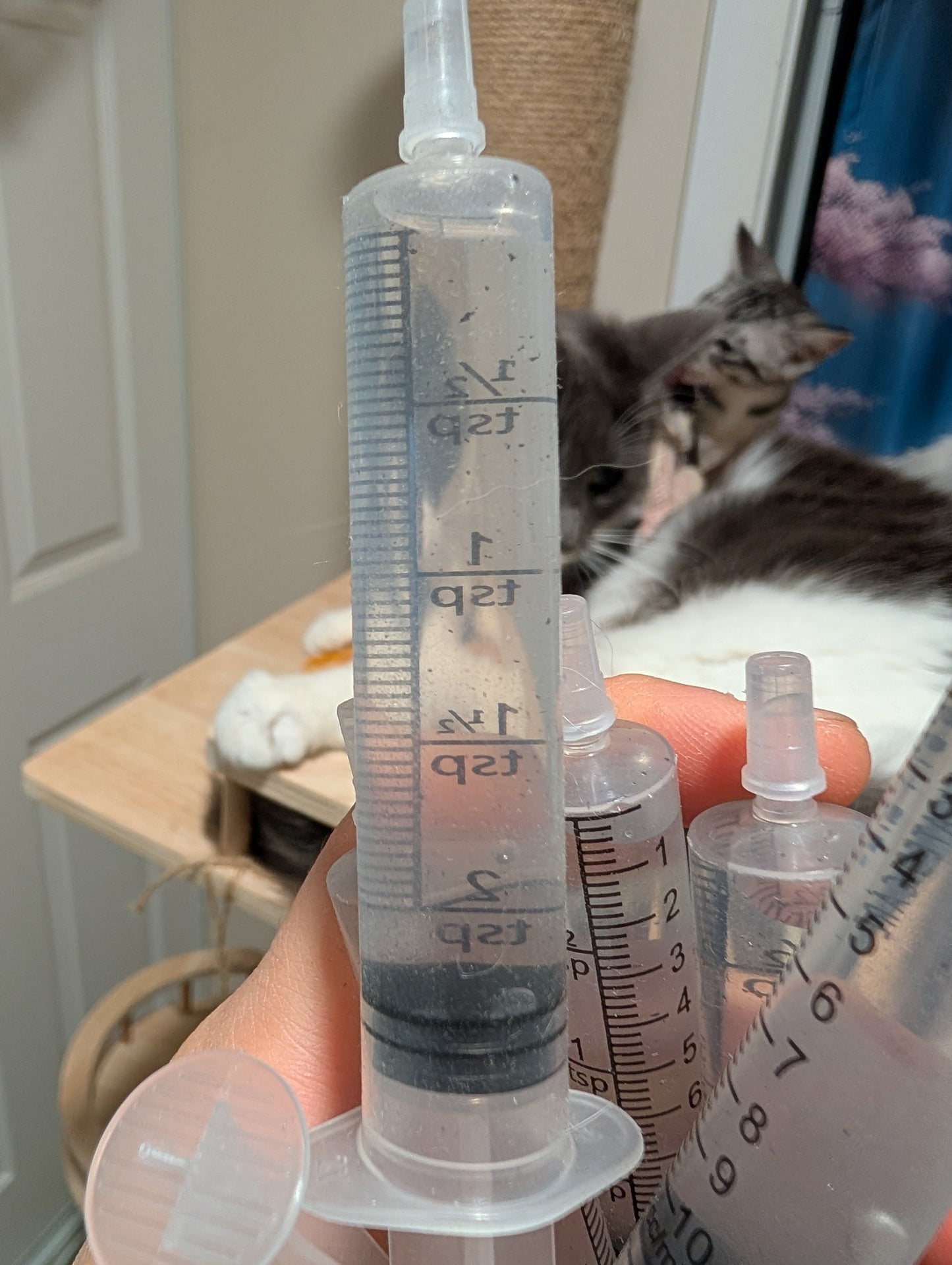 Free mixed fungi spore syringes