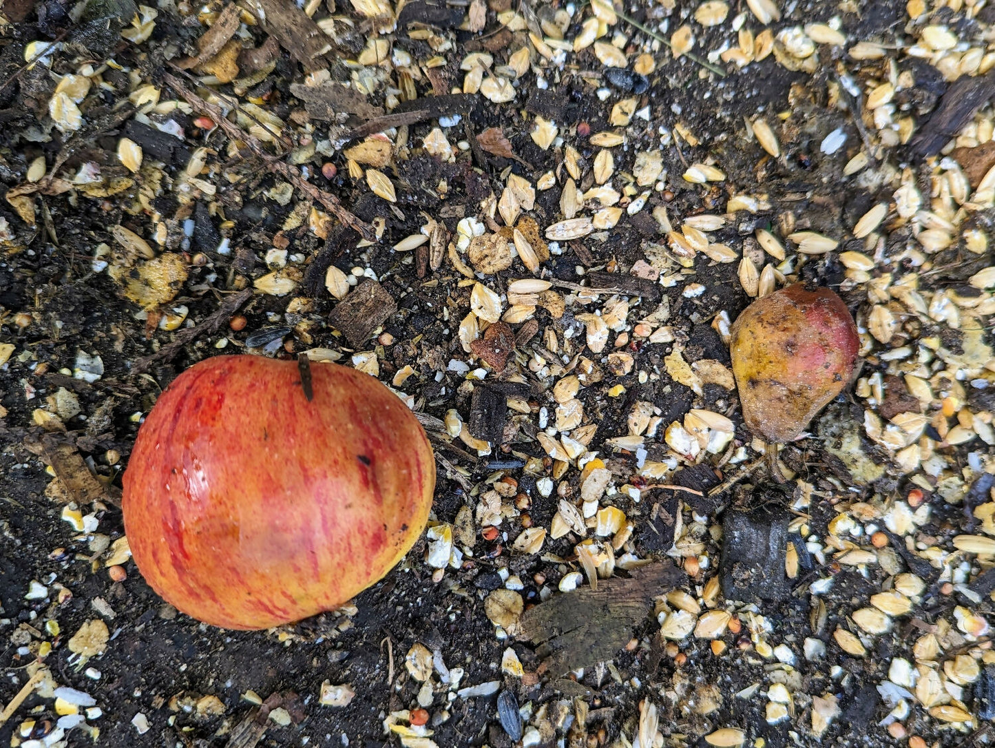 PXL_20230823_161239027