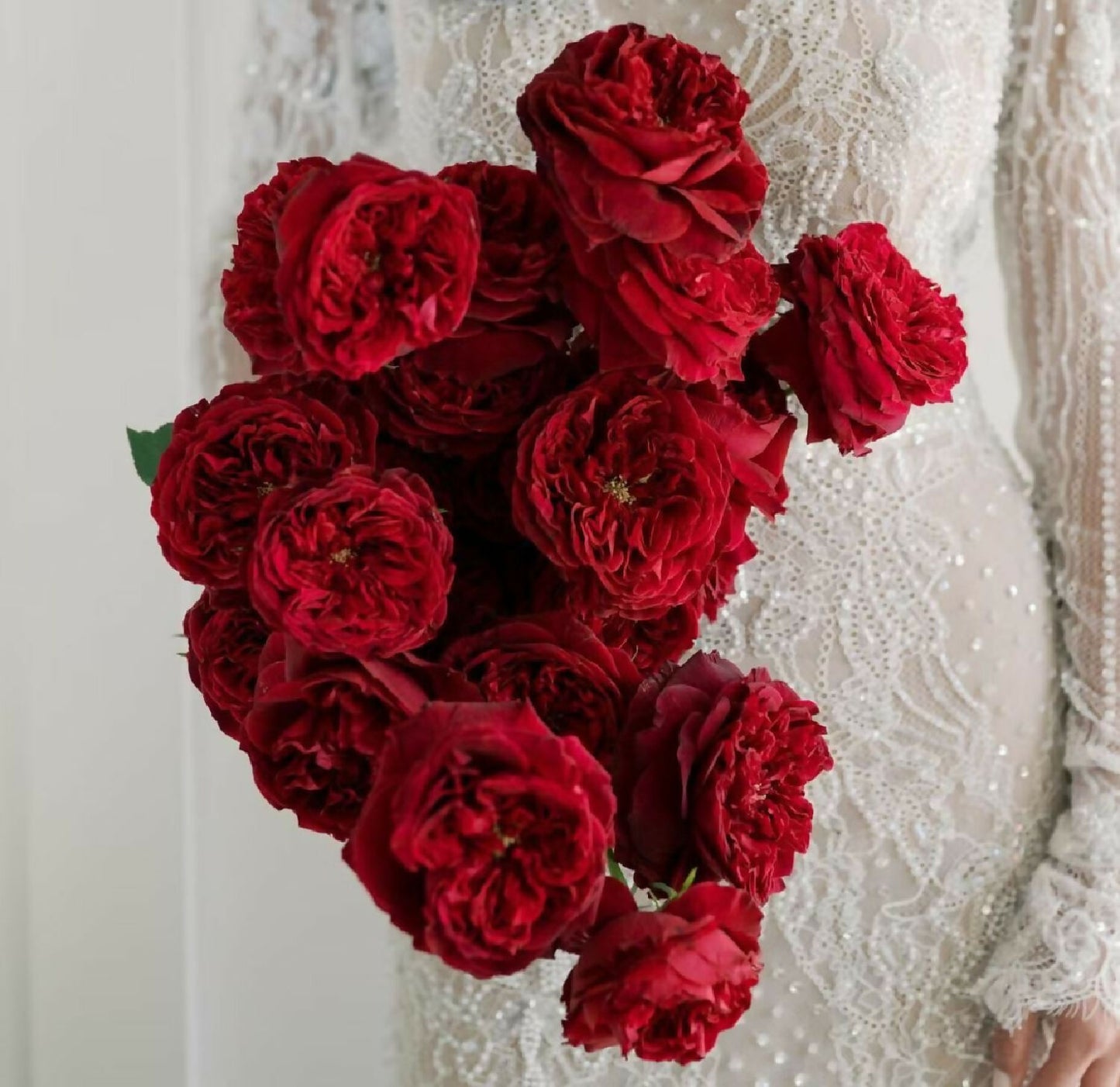 Tess bridal bouquet david austin rose flower phytu