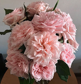 Princess Hitomi Garden Rose (12 Stems)