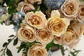 Hana Spr Garden Rose (12 Stems)
