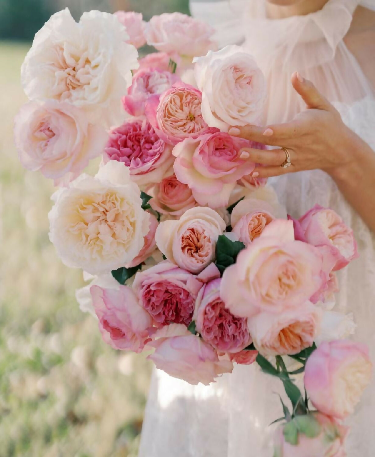 mixed bouquet david austin rose flower phytu ausimmon miranda constance keira juliet ausjameson