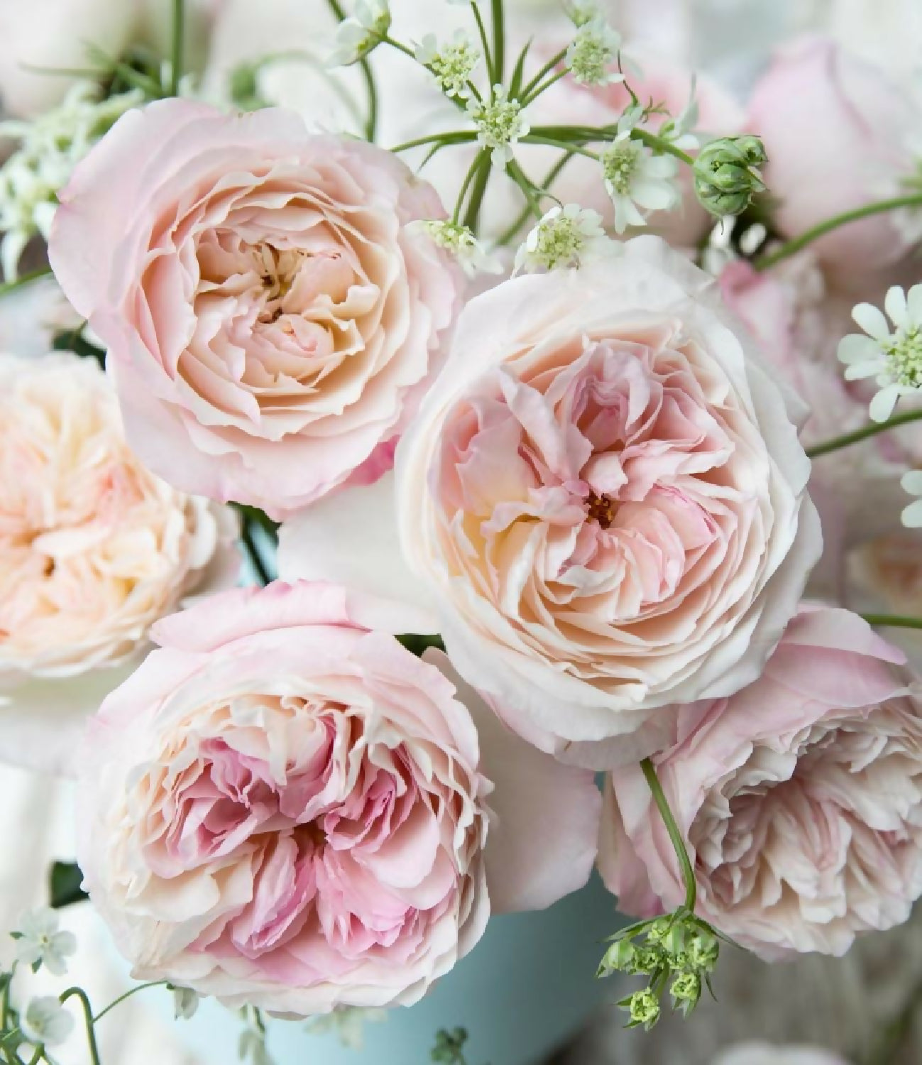 large garden roses wedding david austin keira flower bouquet