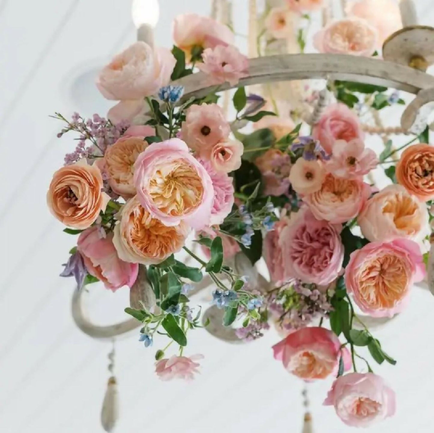 mixed bouquet david austin rose flower phytu ausimmon miranda constance juliet ausjameson 1