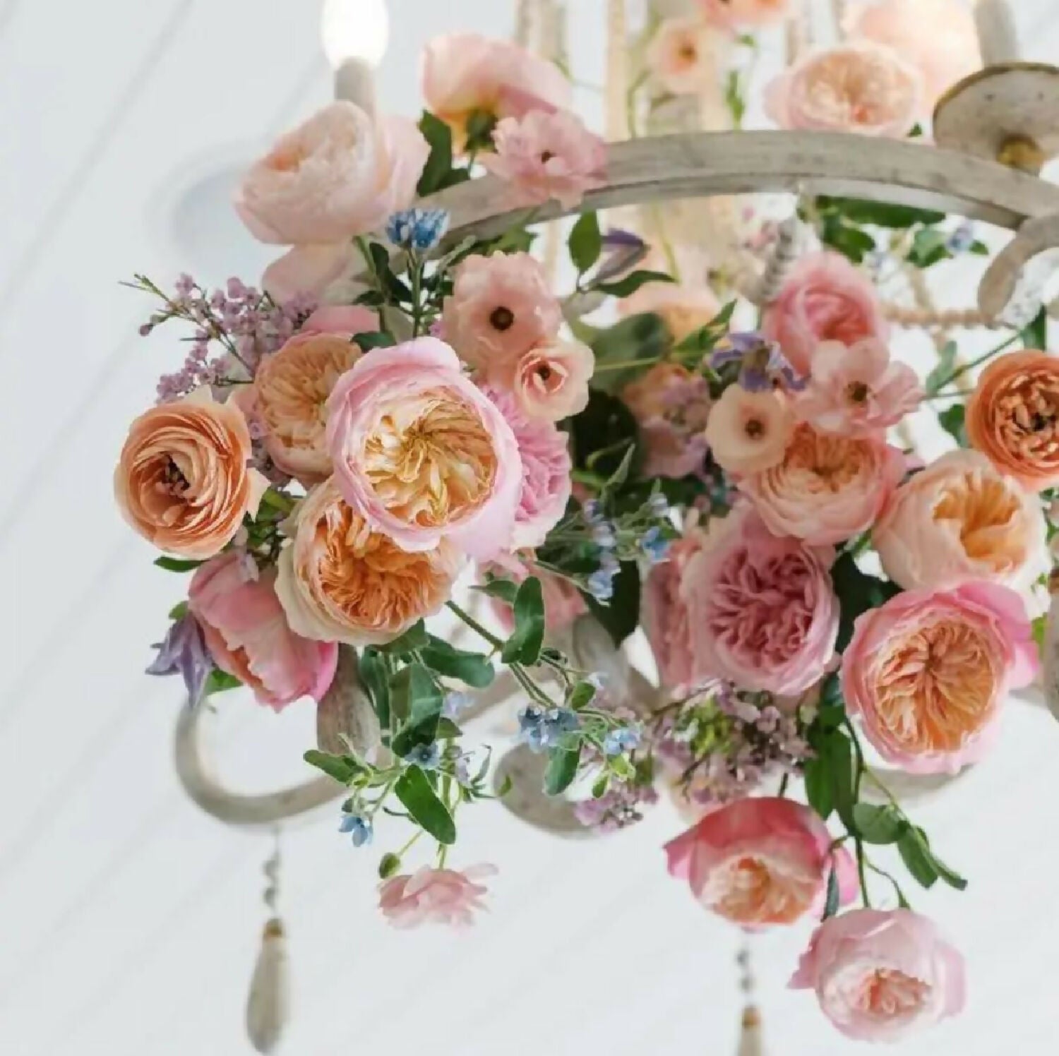 mixed bouquet david austin rose flower phytu ausimmon miranda constance juliet ausjameson 1