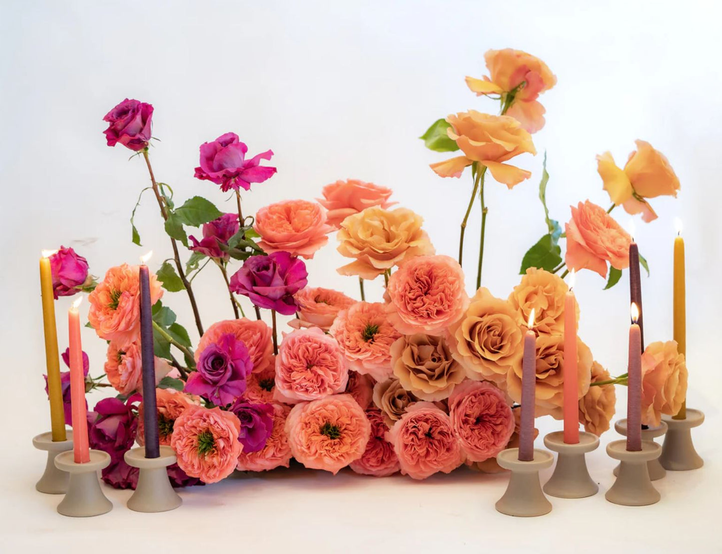 25 roses Candy Xpression deluxe, unique garden roses