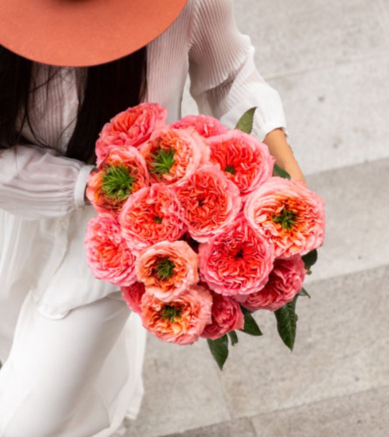 25 roses Candy Xpression deluxe, unique garden roses