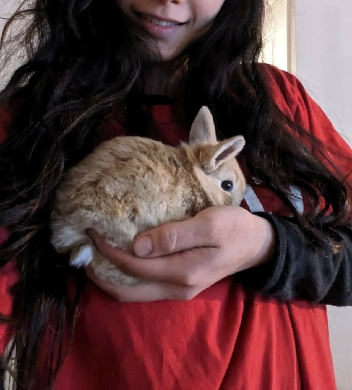 bunny hangout garden phytu