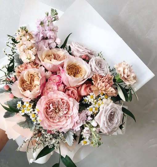 12 roses Miyabi deluxe, unique garden roses