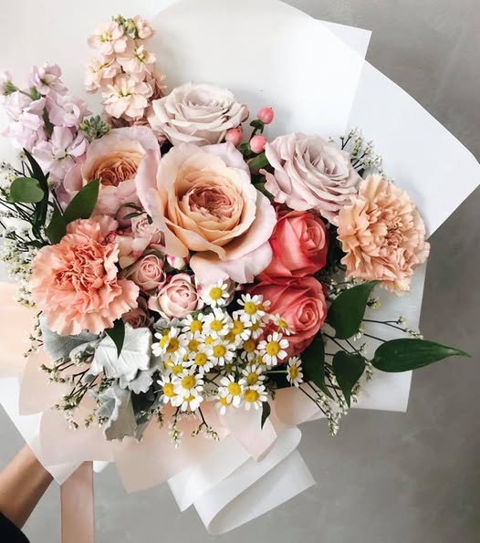 12 roses Miyabi deluxe, unique garden roses