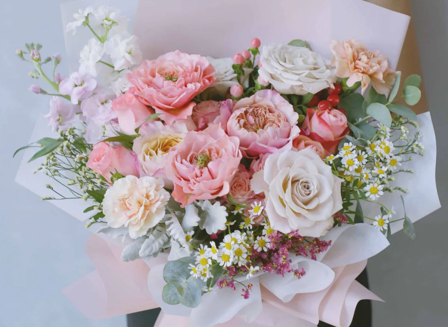 12 roses Miyabi deluxe, unique garden roses