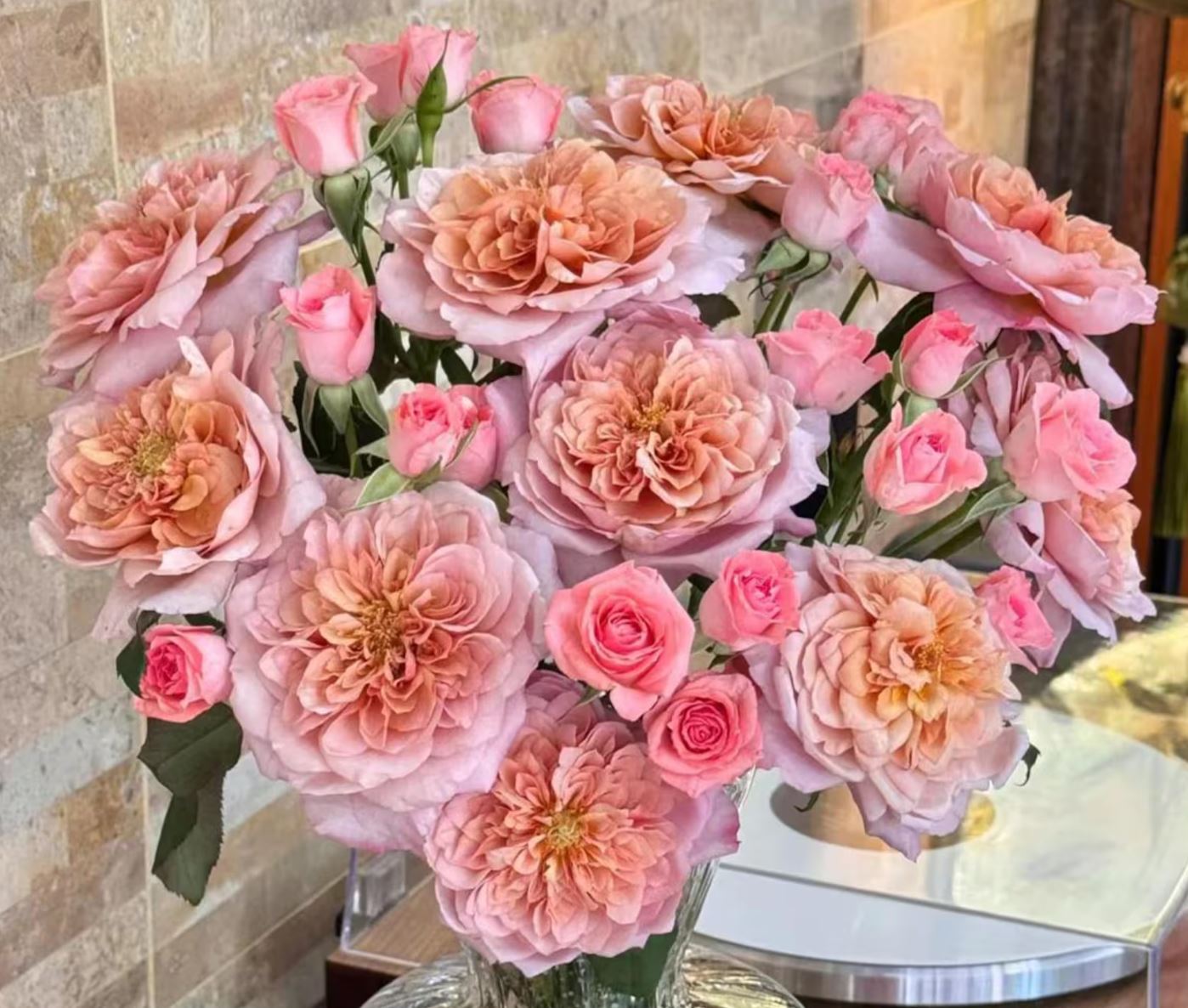 12 roses Miyabi deluxe, unique garden roses