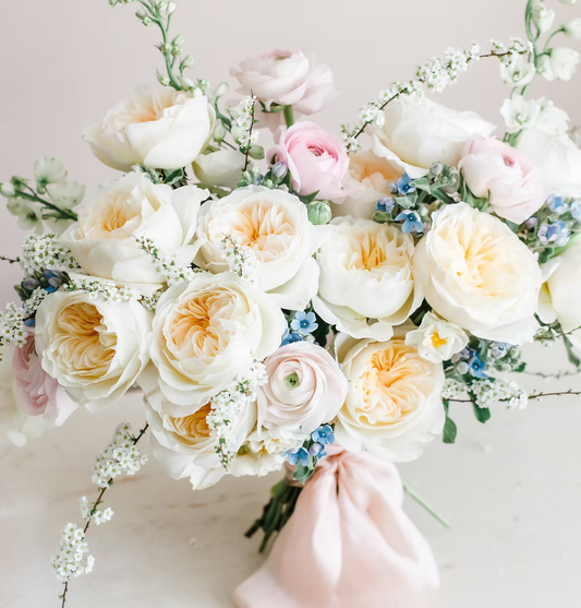 12 roses Bessie David Austin deluxe, unique garden roses