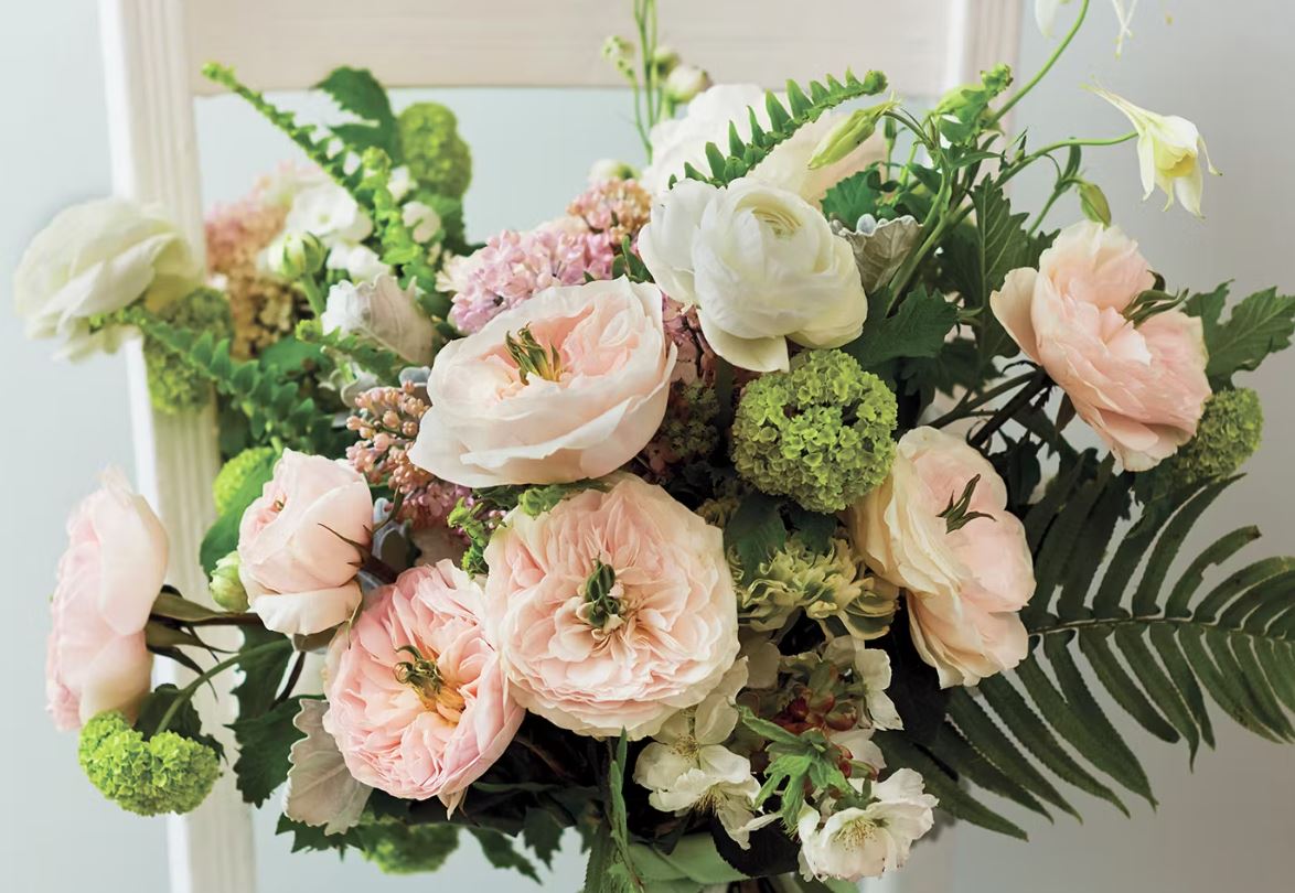 12 roses Charity David Austin deluxe, unique garden roses