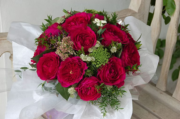 12 roses Darcy David Austin, deluxe, unique garden roses