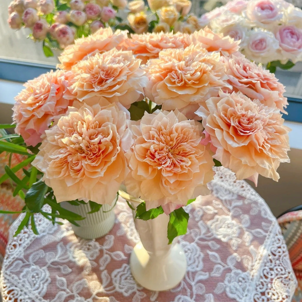 Issei lookalike garden rose plant flower bush deciduous shrub