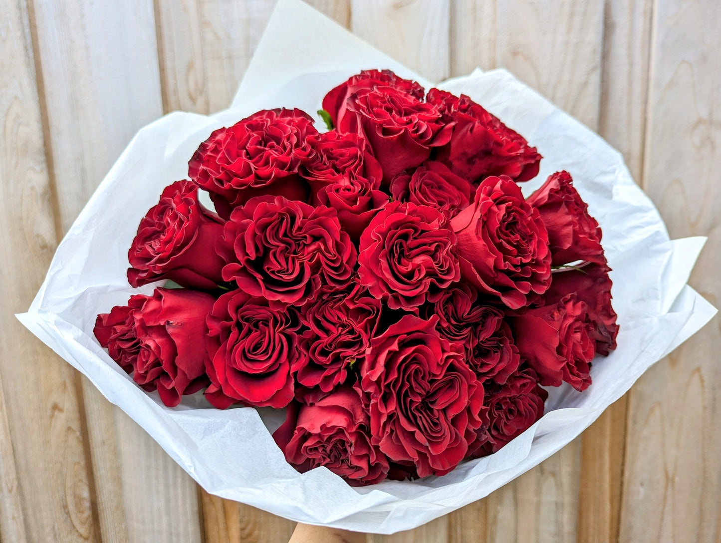 Hearts lookalike garden rose plant flower bush shrub