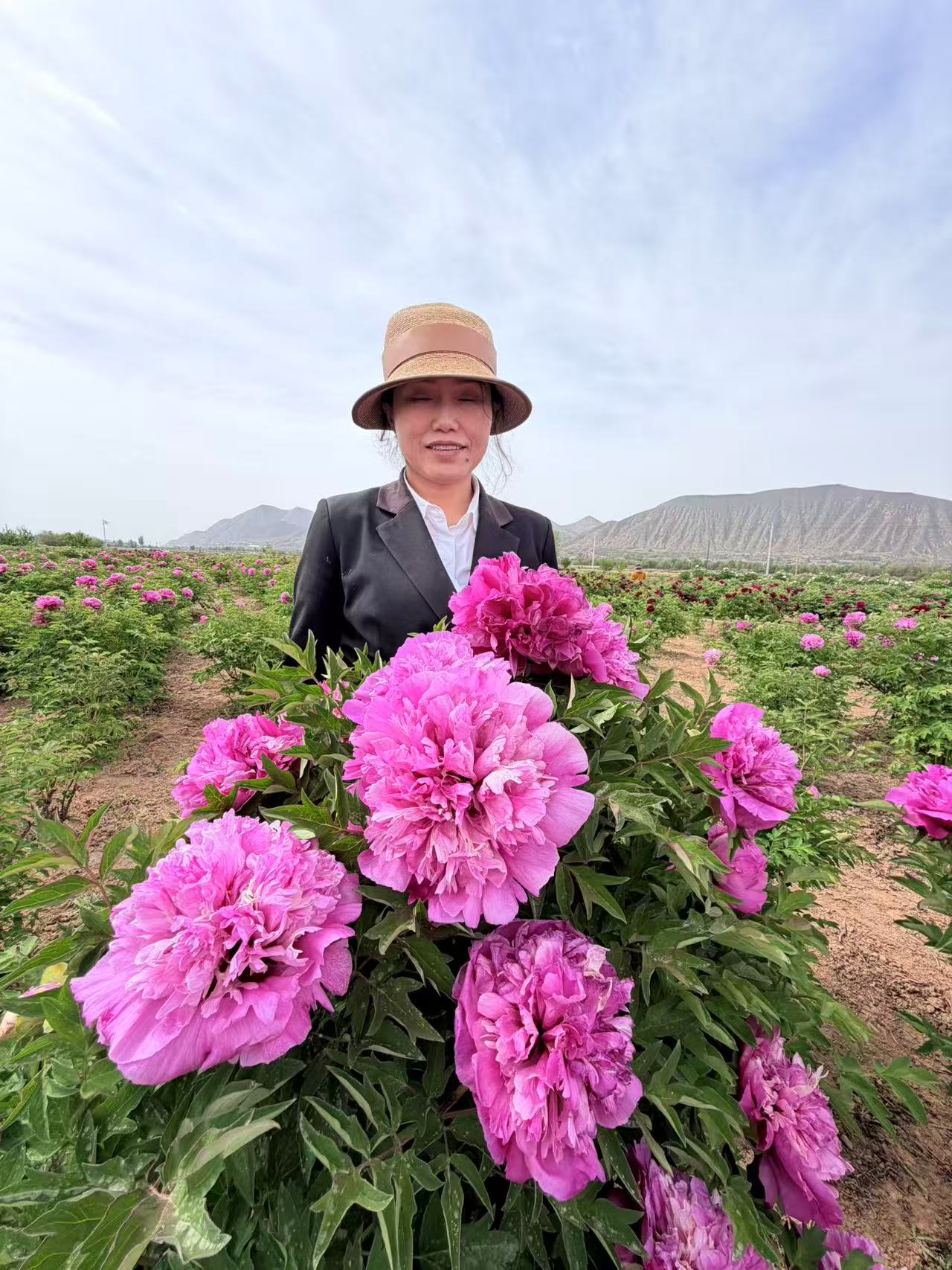 Hong Guan Yu Dai tree peony