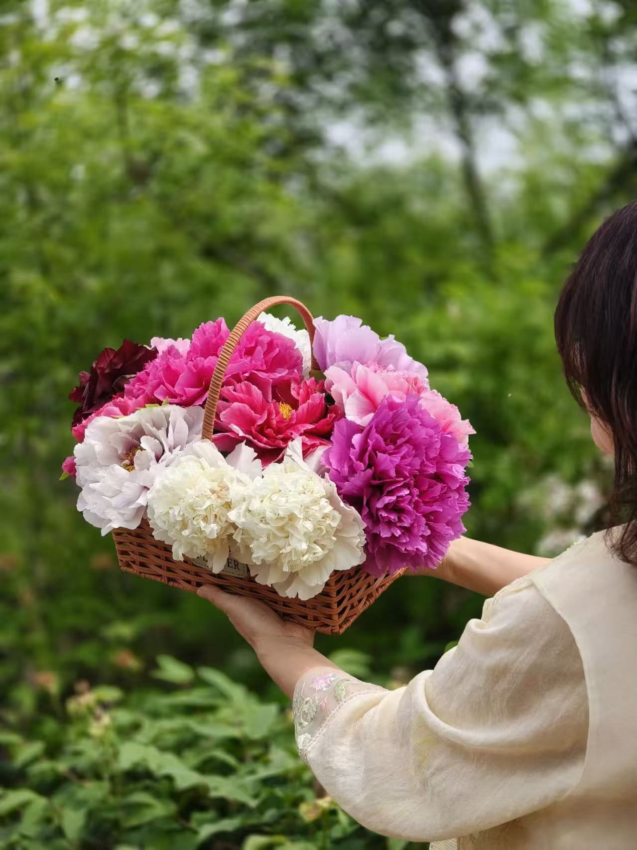 Random and lost tag large flower tree peony