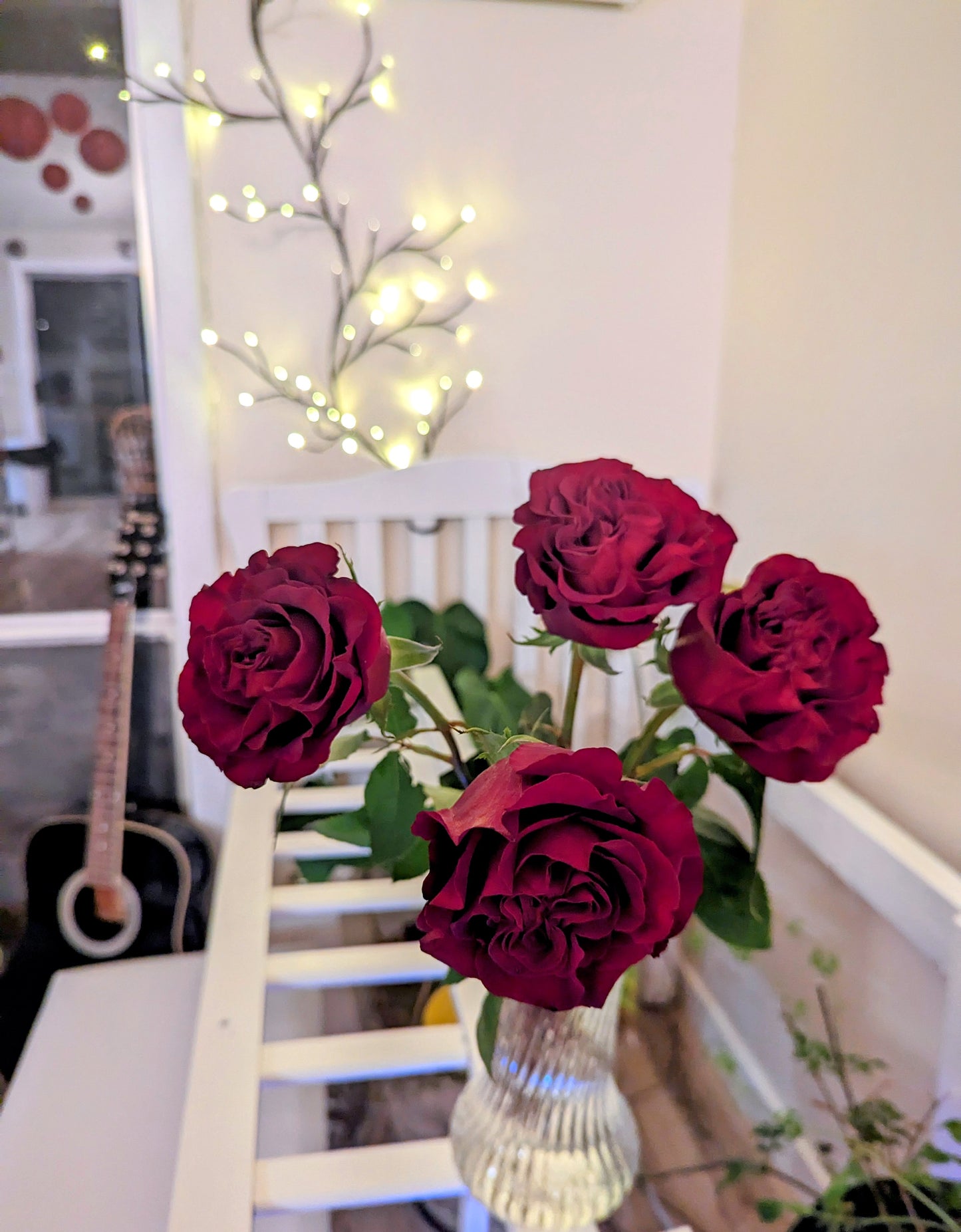 Hearts lookalike garden rose plant flower bush shrub