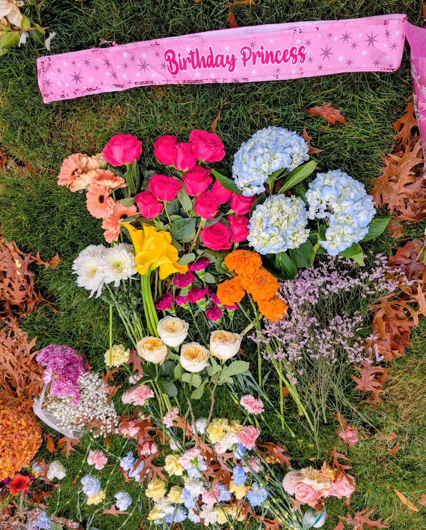 Pursuasion lookalike garden rose plant large flower bush deciduous shrub