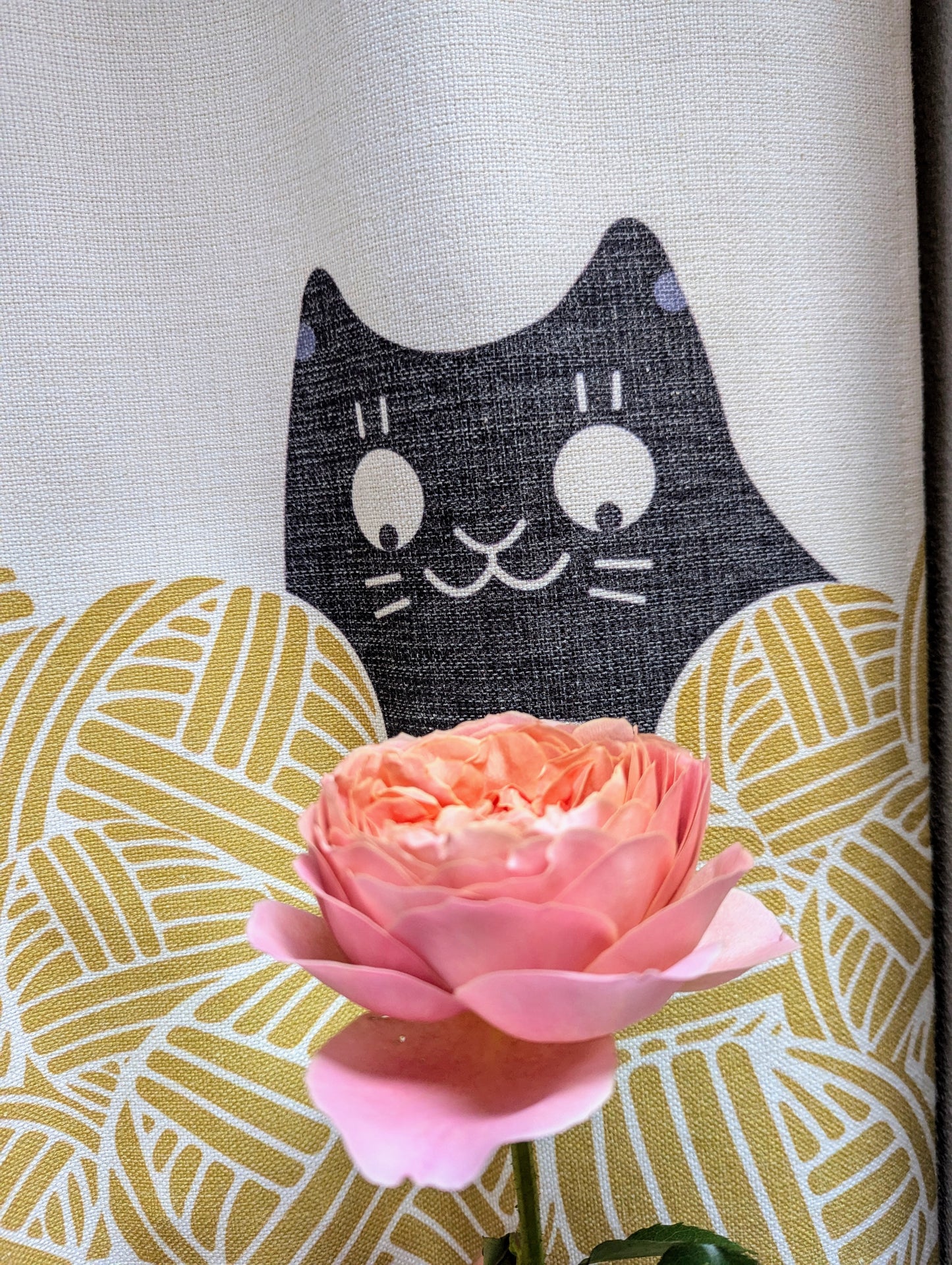 Romantic Antike lookalike garden rose plant flower bush shrub