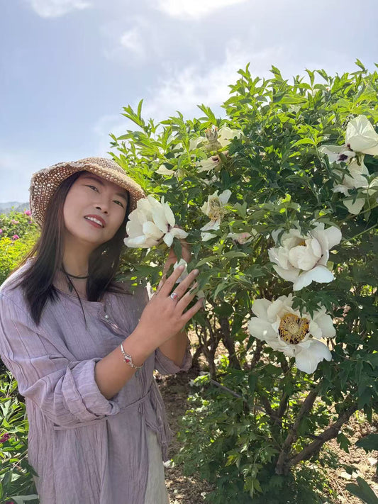 Xue Lian tree peony