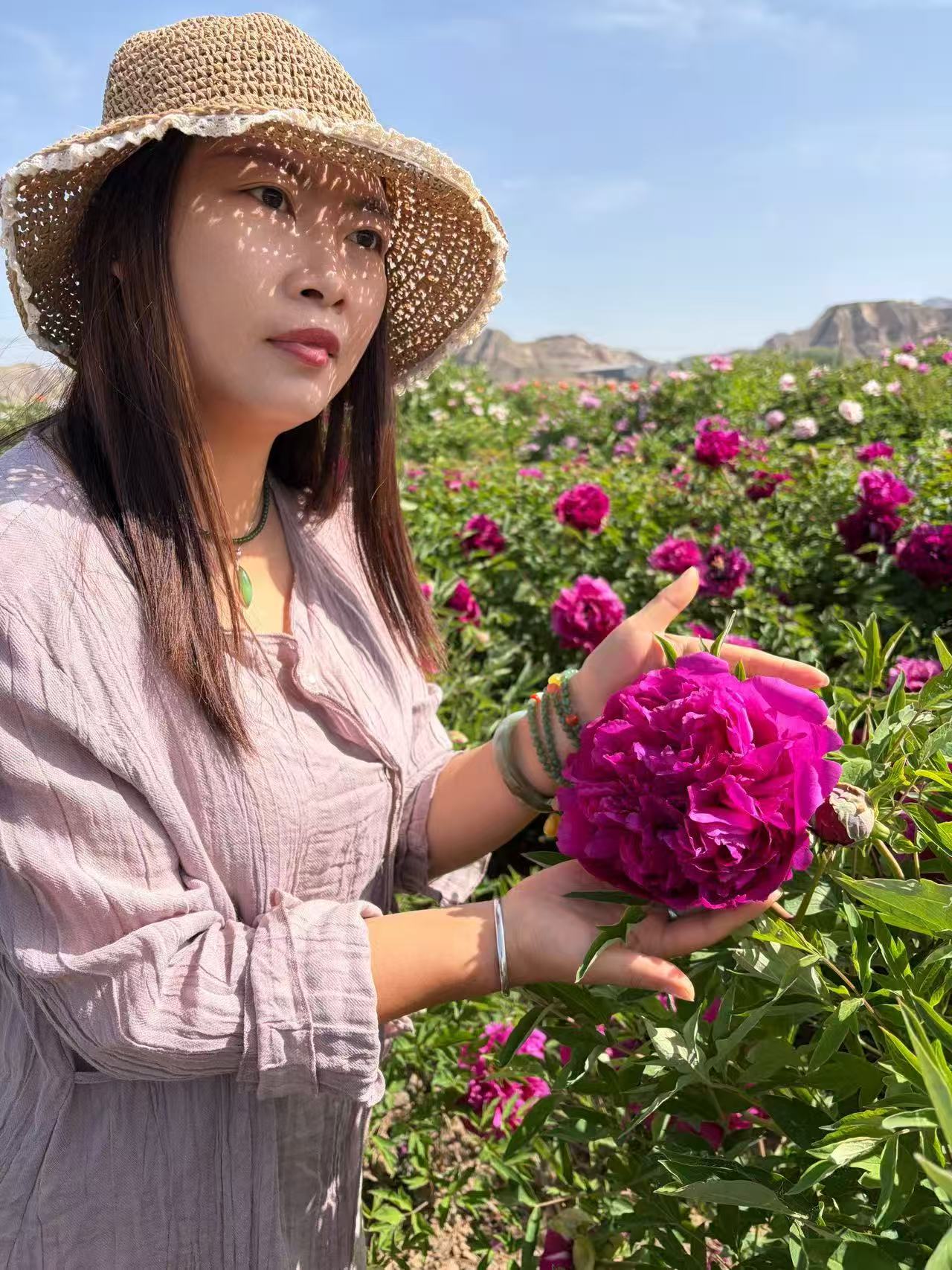 "Li xiang" large flower tree peony