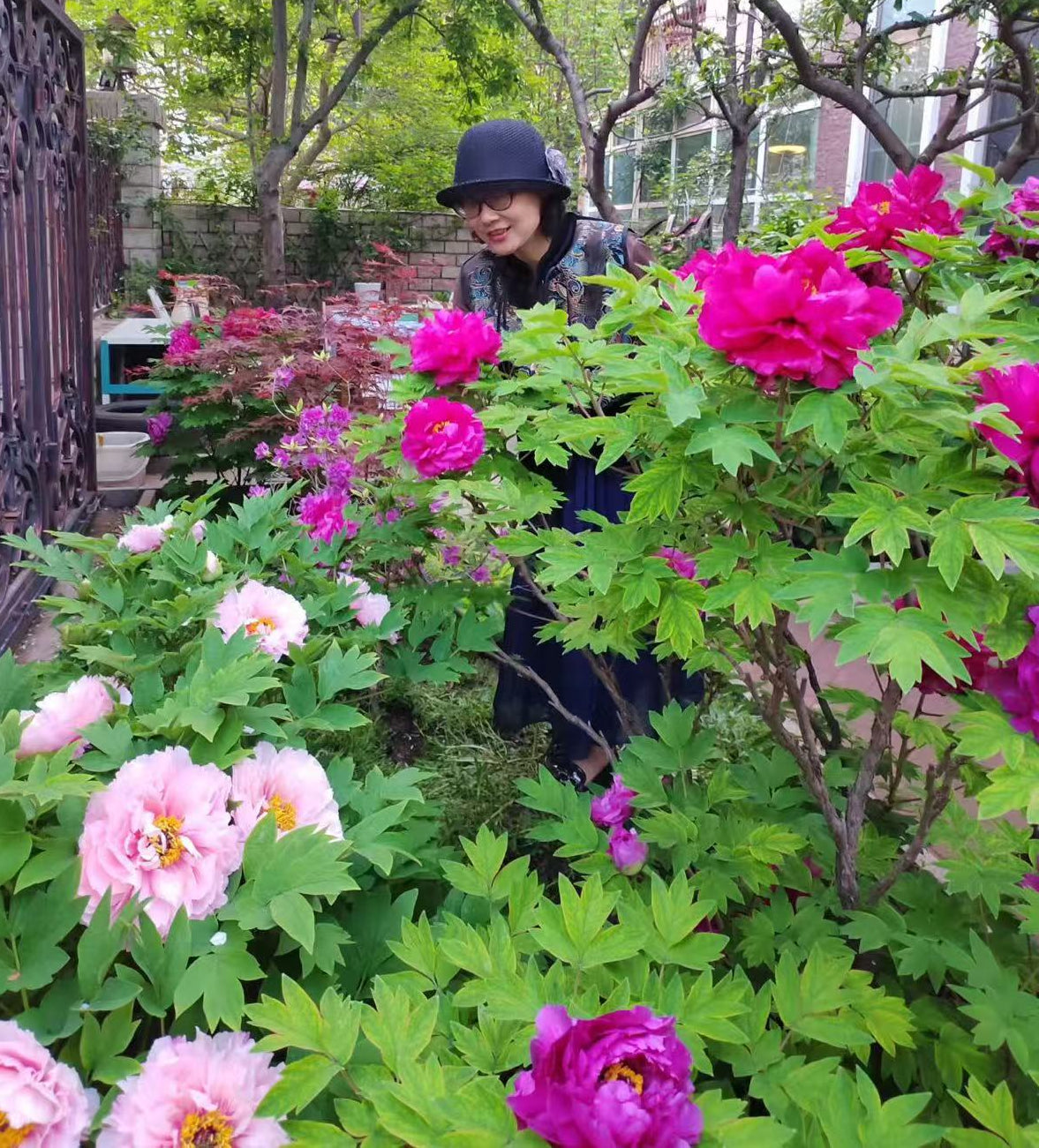 Random and lost tag large flower tree peony