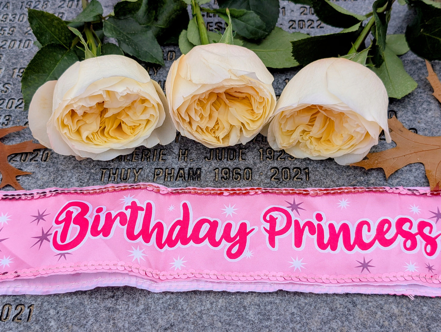 Pursuasion lookalike garden rose plant large flower bush deciduous shrub