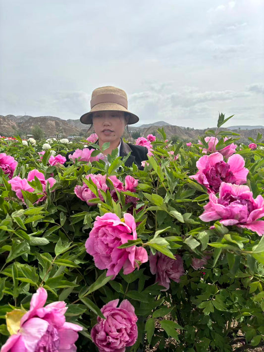 "Peach Blossom Manor" large flower tree peony