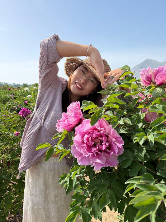 Long Xiang Er Qiao tree peony