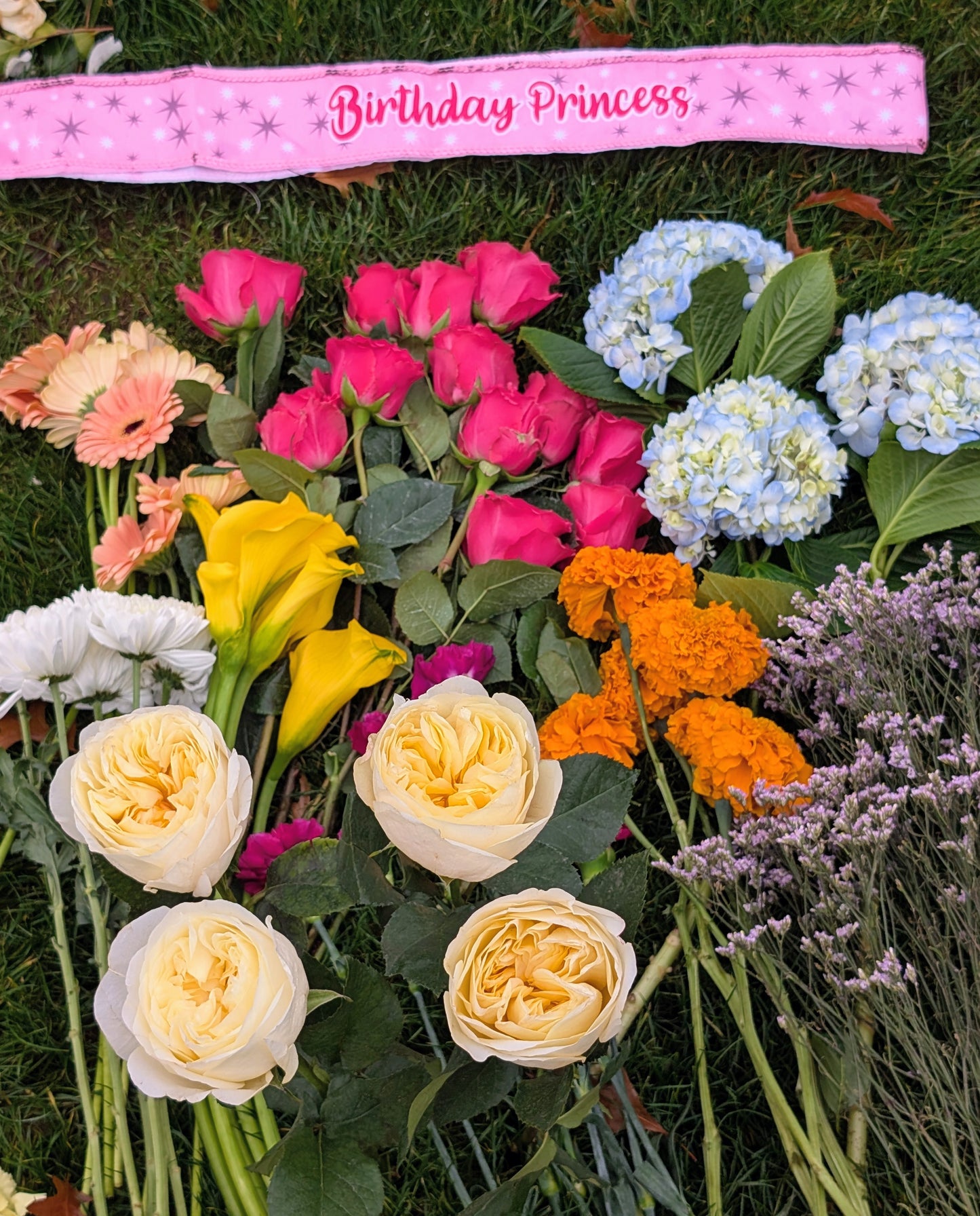 Pursuasion lookalike garden rose plant large flower bush deciduous shrub