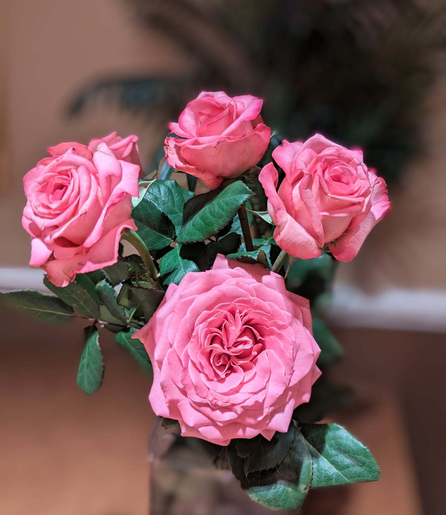 Ashley lookalike thornless rose garden rose plant flower bush shrub