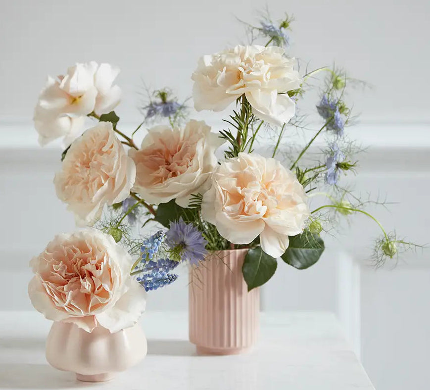 White and cream garden roses in a mixed stem package