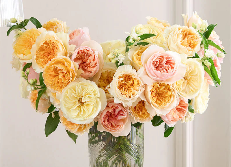 Peach and beige garden roses in an autumn stem package