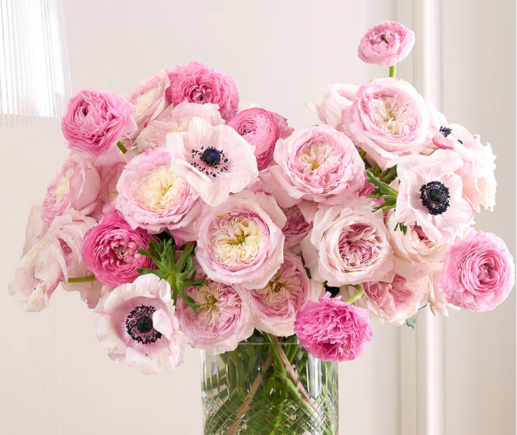 Pastel pink garden roses in a mixed stem package