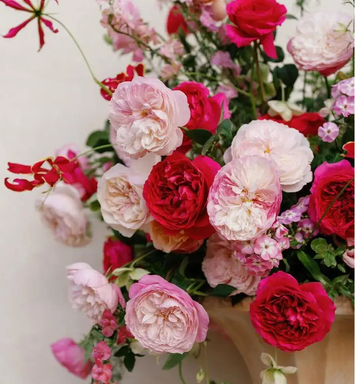 Red and pink garden roses in a festive stem package