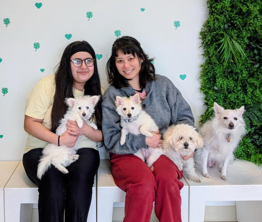 Two women and four white dogs at a dog cafe — the loyal family we create
