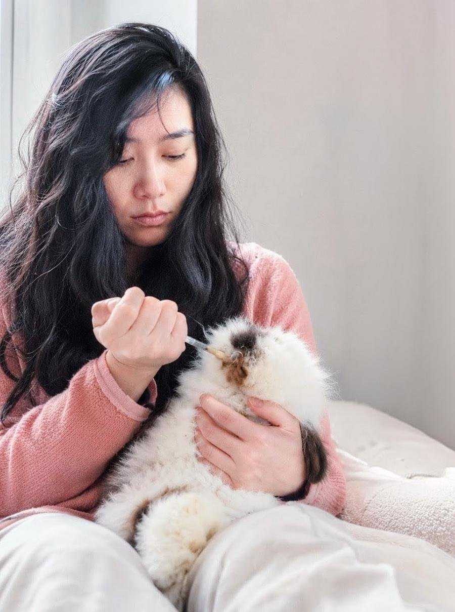 Woman carefully feeding a fluffy rabbit with a dropper — animal care